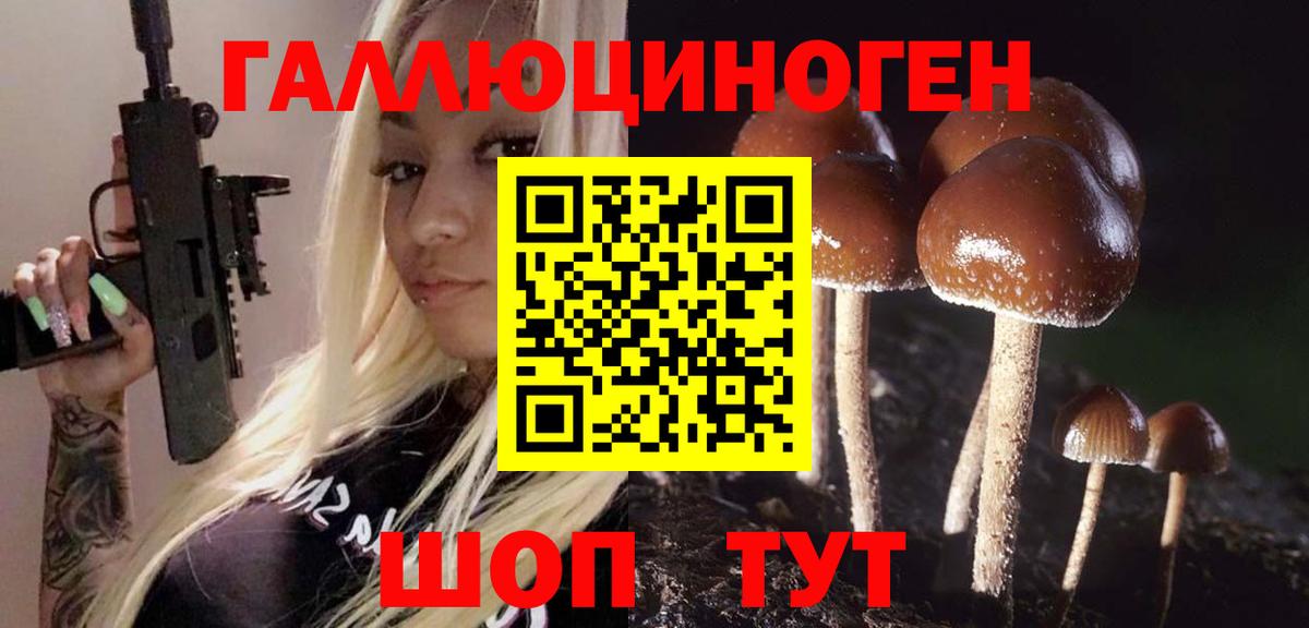 Псилоцибиновые грибы ЛСД  Вход с VPN  Коломна  Галлюциногенные грибы GOLDEN TEACHER 