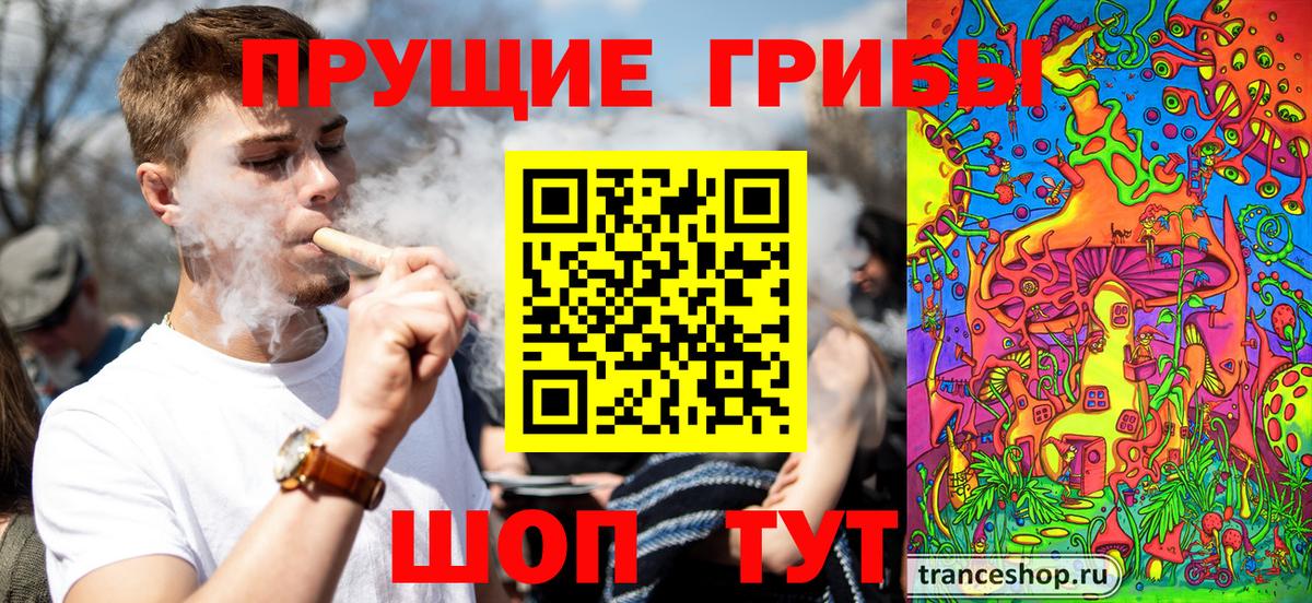 Галлюциногенные грибы Cubensis Коломна